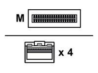 Lenovo Breakout - 100GBase-CU direkte tilkoblingskabel - 3 m