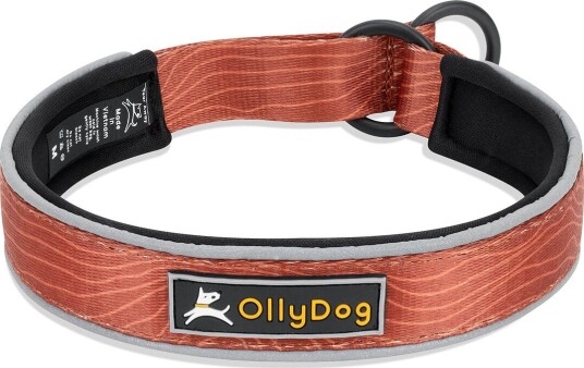 Ollydog Martingale Reflective Comfort Collar Clay S Clay