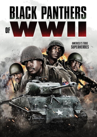 Black Panthers Of Wwii DVD