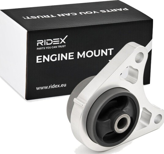 Motorfeste RIDEX 247E1319
