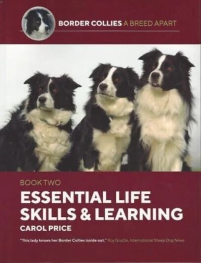 Life Skills And Learning Av Carol Price Life Skills And Learning Av Carol Price
