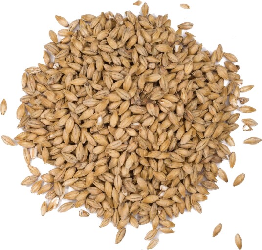 Castle Malting Château Cara Clair 1 kg knust 5 EBC Castle malting