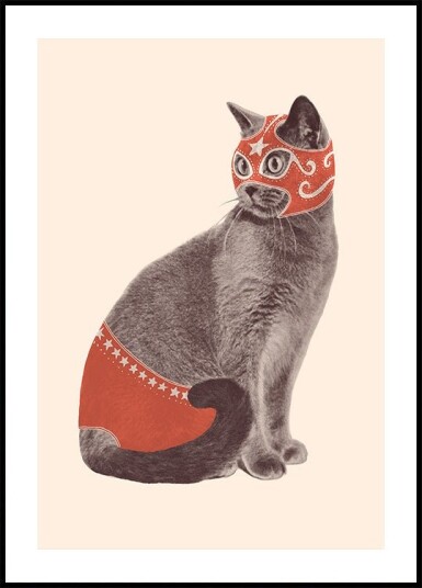 Chat Catcheur Plakat Plakat / 30x40cm