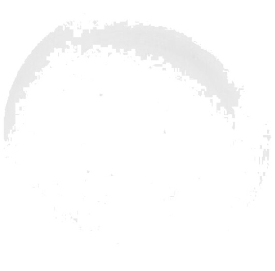 Porsgrunds Porselænsfabrik Hvitt Asjett 20,5cm