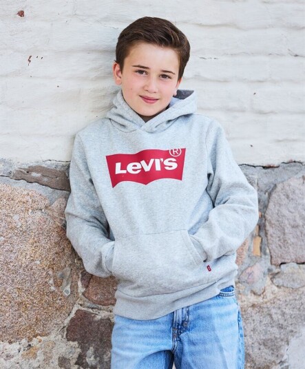 Levi'S Batwing Hoodie Jr Grå 5år