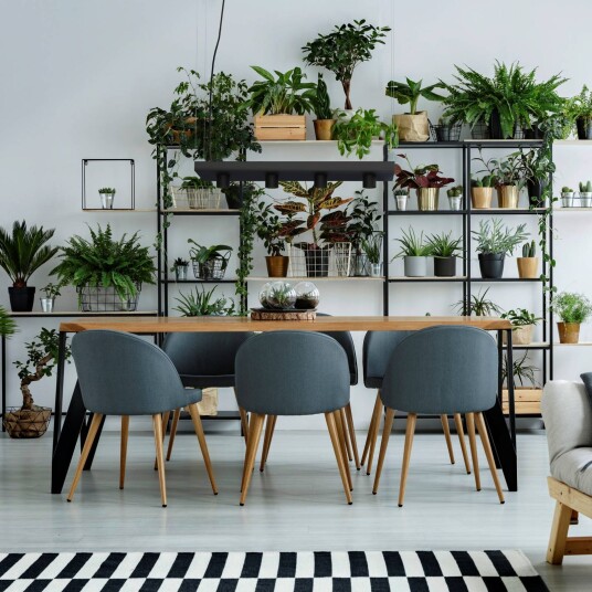 Euluna Hengelampe Plant med lagringsplass  svart