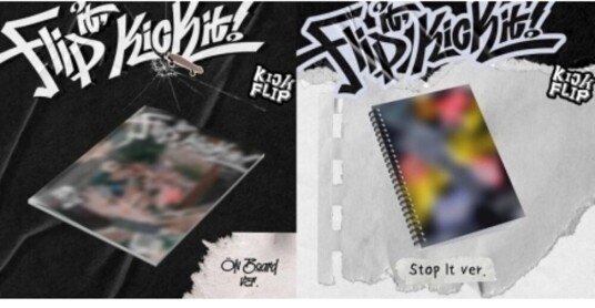 Kickflip  Flip It Kick It!  incl. Photobook Track Folded Poster Sticker Pack Skateboard Bookmark Crew Card 2 Photocards + Polaroid  CD