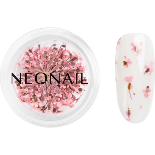 NEONAIL Dried Flowers 01 Pink