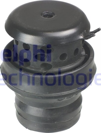DELPHI TEM058 Motorfeste