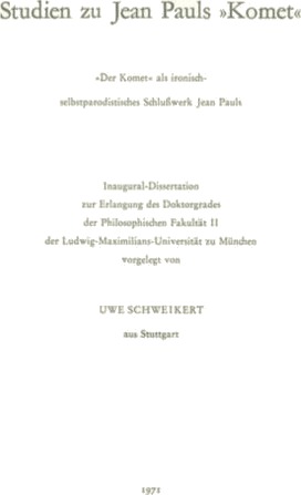 Studien zu Jean Pauls "Komet"