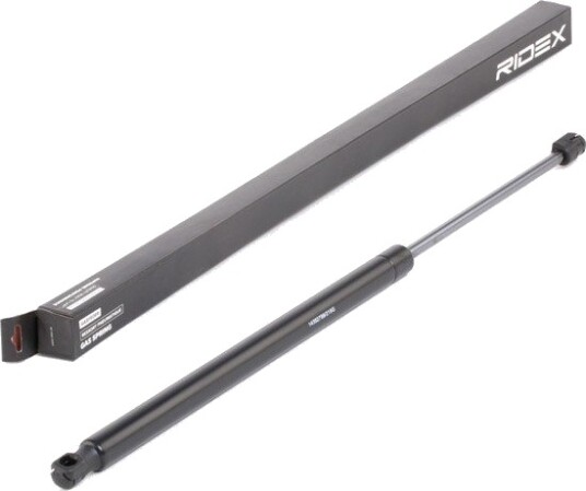 RIDEX 219G0903 Baklukedemper