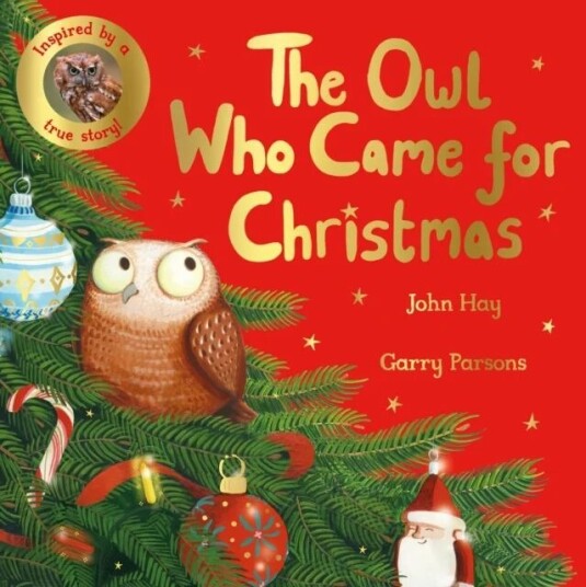 The Owl Who Came For Christmas Av John Hay