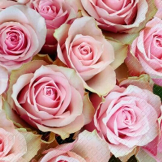 Kaffe serviett Rosa roser