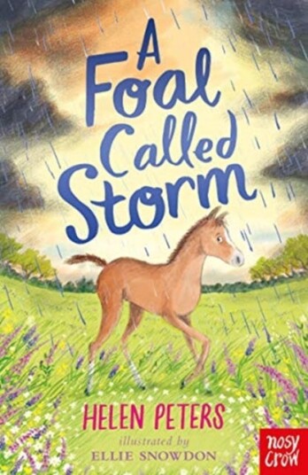 A Foal Called Storm Av Helen Peters