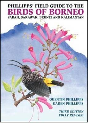 Phillipps' Field Guide To The Birds Of Borneo Av Quentin Phillipps