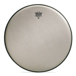 Remo 14"" Renaissance Ambassador Remo 14"" Renaissance Ambassador