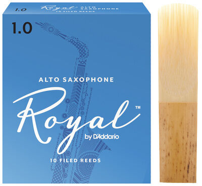 Daddario Woodwinds Royal Alto Sax 1