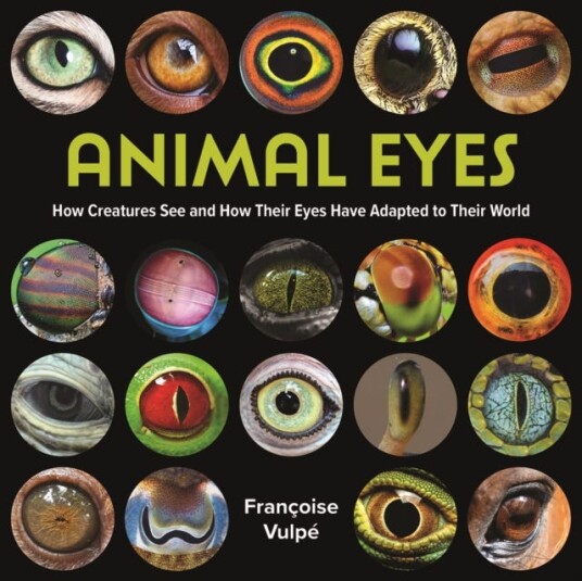 Animal Eyes  How Creatures See and How Their Eyes Have Adapted to Their World