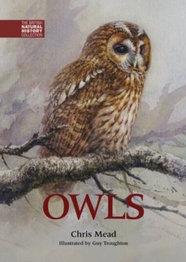 Owls Av Chris Mead