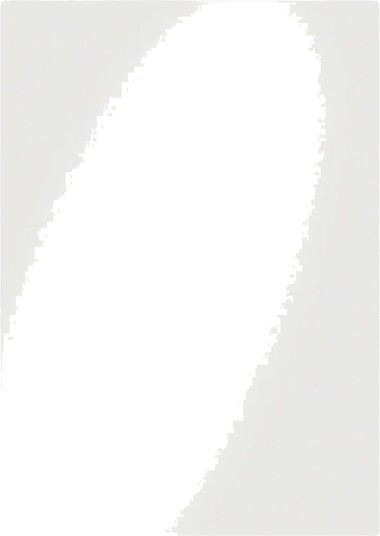 Esselte Leitz - 25Er-Pack - Farblos - 216 X 303 Mm - Matte Laminierungshüllen (16917)