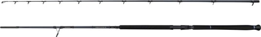 Savage Gear Defiance Sg2 Shore Jig 2.90m 50 - 120 g Savage Gear Defiance Sg2 Shore Jig 2.90m 50 - 120 g
