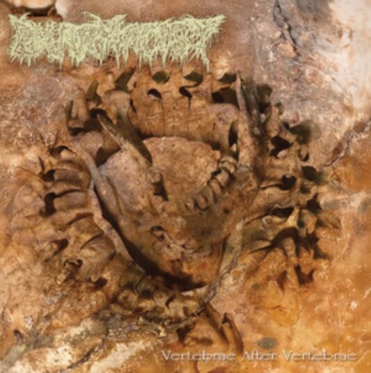 Pharmacist Vertebrae After Vertebrae Uk Vinyl