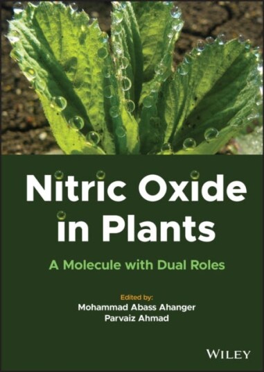 Nitric Oxide In Plants