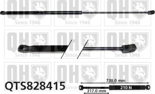 Gassfjær, motorpanser QUINTON HAZELL QTS828415