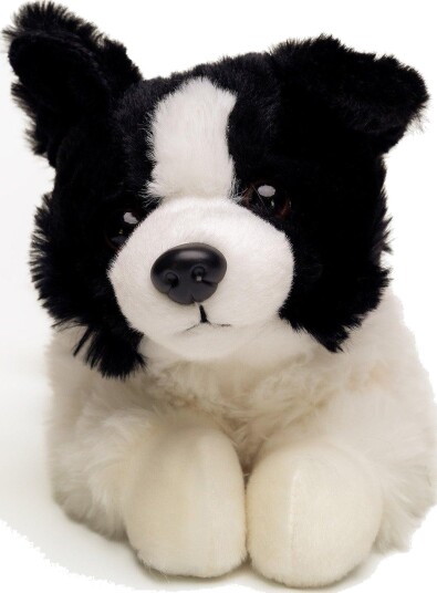 Hund Bamse Lasse Border Collie | Hilda Hund Bamse Lasse Border Collie | Hilda