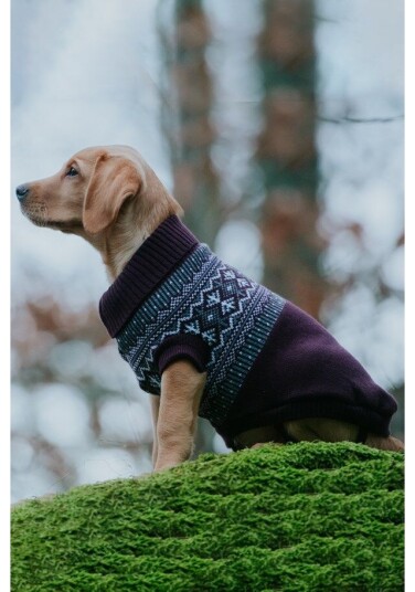 Dogman Hundegenser Iselin Str 45 45 Dogman Hundegenser Iselin Str 45 45