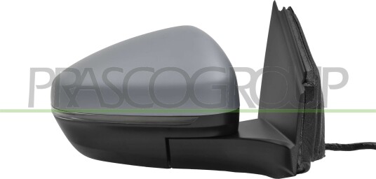 PRASCO PG5247363 Sidespeil