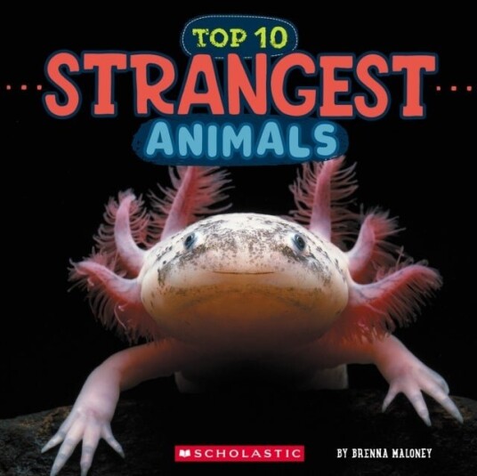 Strangest Animals Wild World: Top 10 Strangest Animals Wild World: Top 10