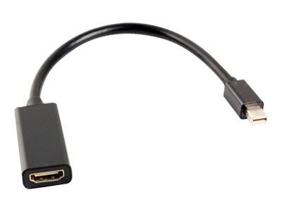 LANBERG video adapter - DisplayPort / HDMI - 20 cm LANBERG video adapter - DisplayPort / HDMI - 20 cm