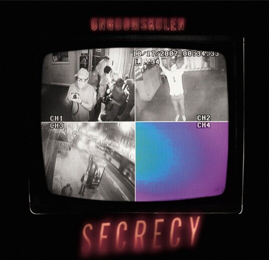 Ungdomskulen Secrecy Vinyl