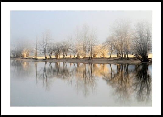 january morning  Poster Plakat / 50x70cm