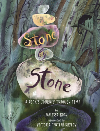 Stone by Stone  A Rock's Journey Through Time