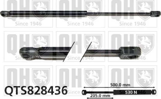 QUINTON HAZELL QTS828436 Baklukedemper