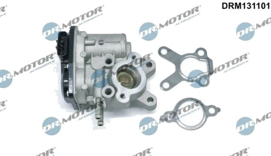 DR.MOTOR AUTOMOTIVE DRM131101 EGR-ventil DR.MOTOR AUTOMOTIVE DRM131101 EGR-ventil