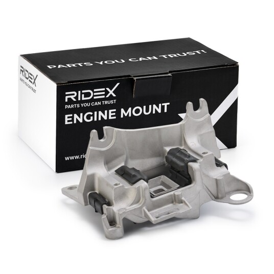 Motorfeste RIDEX 247E0603