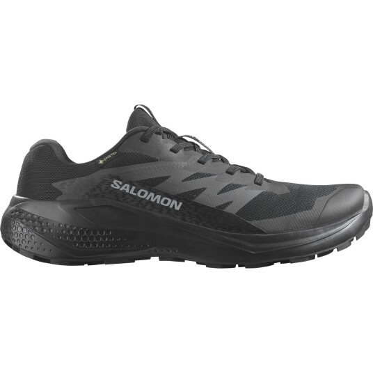 Salomon Alphaglide GTX Black Black 46⅔