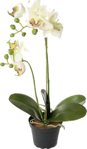 Mr Plant - Phalaenopsis kunstig plante 45 cm