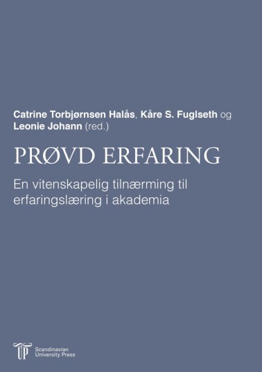 Erfaringslæring på akademisk vis