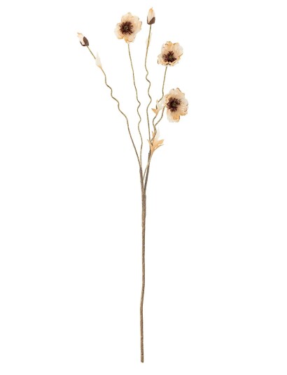 Bloomingville Poppy Stem Cream H104CM Bloomingville Poppy Stem Cream H104CM
