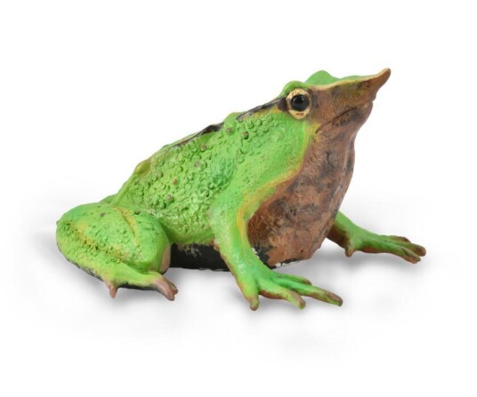 Collecta Darwin's Frog Figure Explore the Unique World of Amphibians! Collecta Darwin's Frog Figure Explore the Unique World of Amphibians!