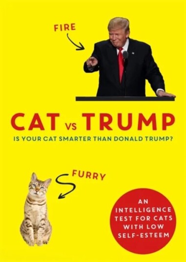 Cat Vs Trump Av Headline