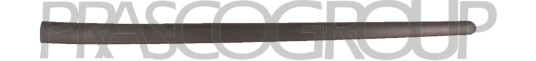 PRASCO VG0361404 Pynte- / beskyttelseslist, dør