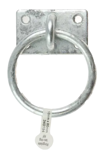 CAL Ringplate m/ løs ring   Galvanisert   10x80 mm