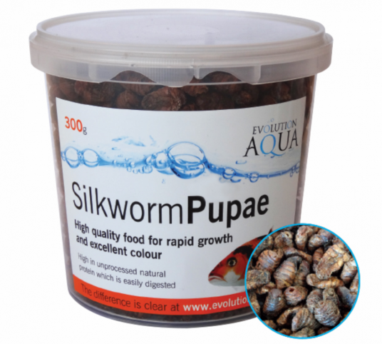 Silk Worm 300 gram