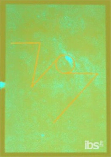 Boredoms 77 Boadrum (Limited Edition) CD Boredoms 77 Boadrum (Limited Edition) CD