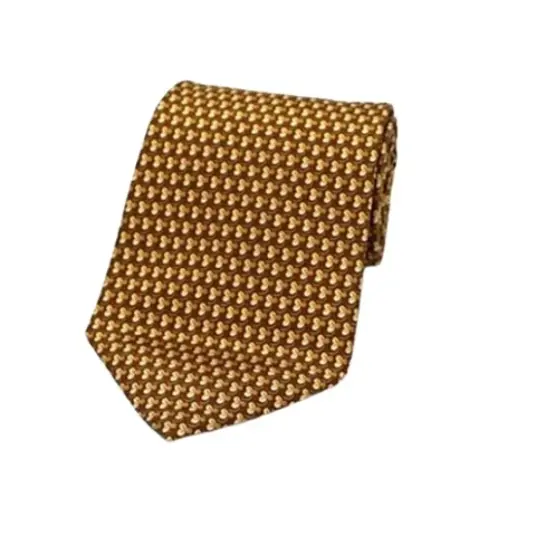 Salvatore Ferragamo Herre Flerfarget